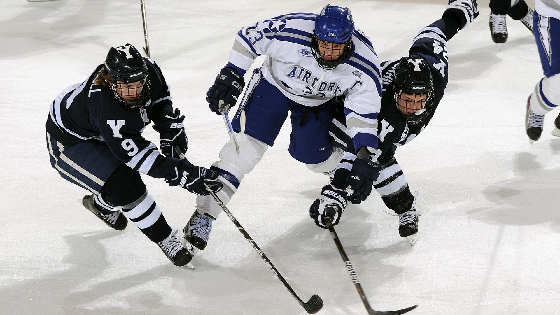 体育新闻中心通报体育场馆数字化改造成效，体育场馆信息化建设