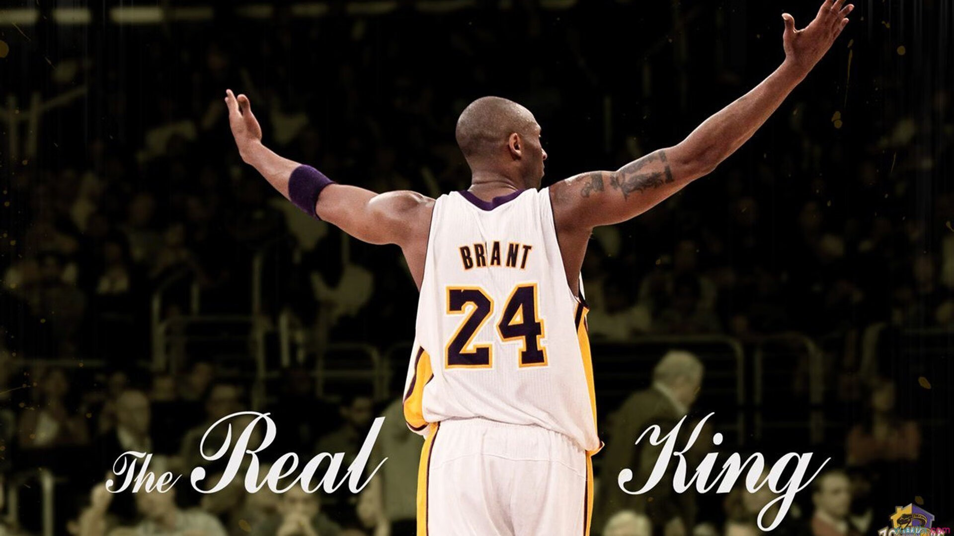 安东·李恩：以冷静的头脑和快速的反应，成为全黑队中场的重要支点